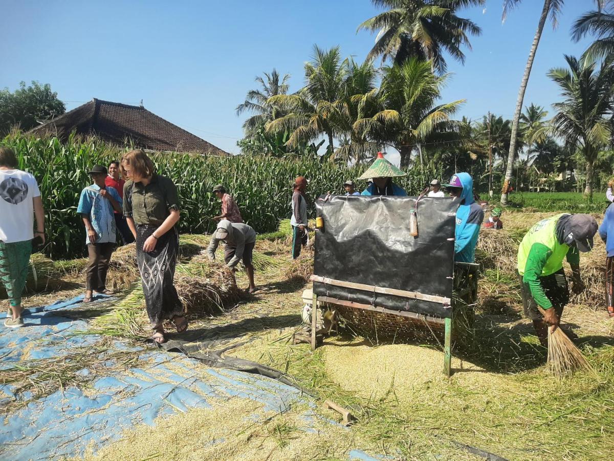 D' Carasti Bungalow Masbagik Bagian luar foto