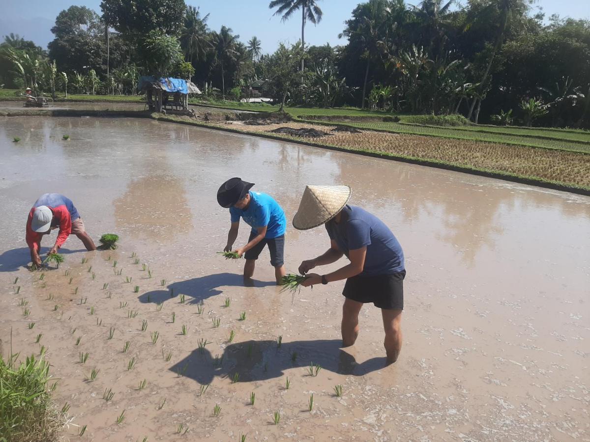 D' Carasti Bungalow Masbagik Bagian luar foto