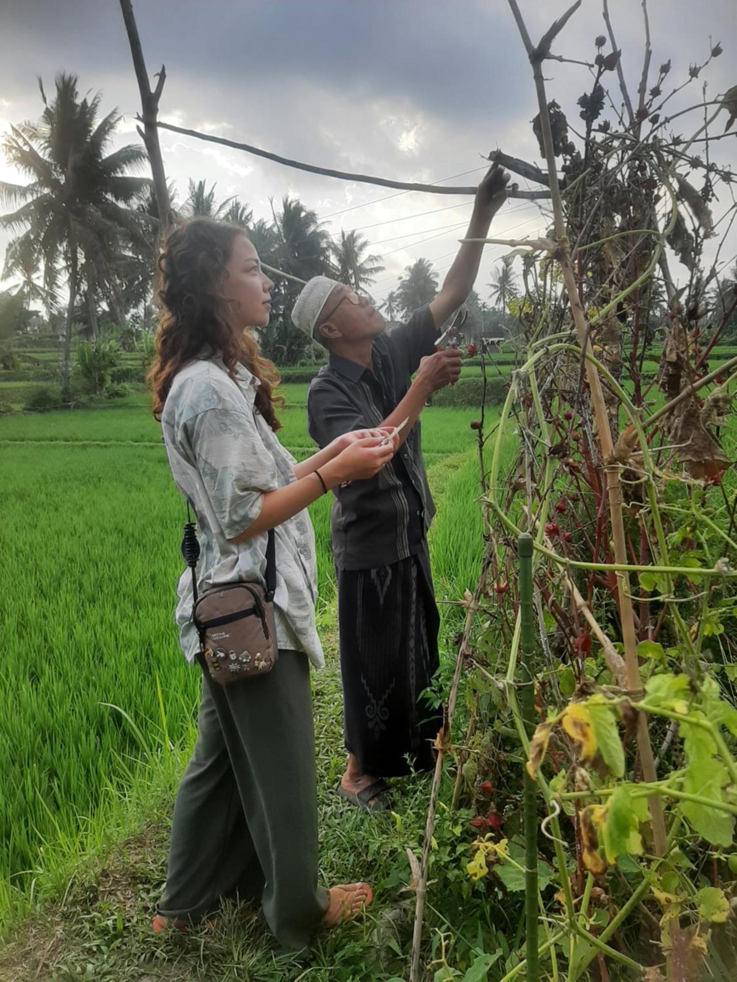 D' Carasti Bungalow Masbagik Bagian luar foto